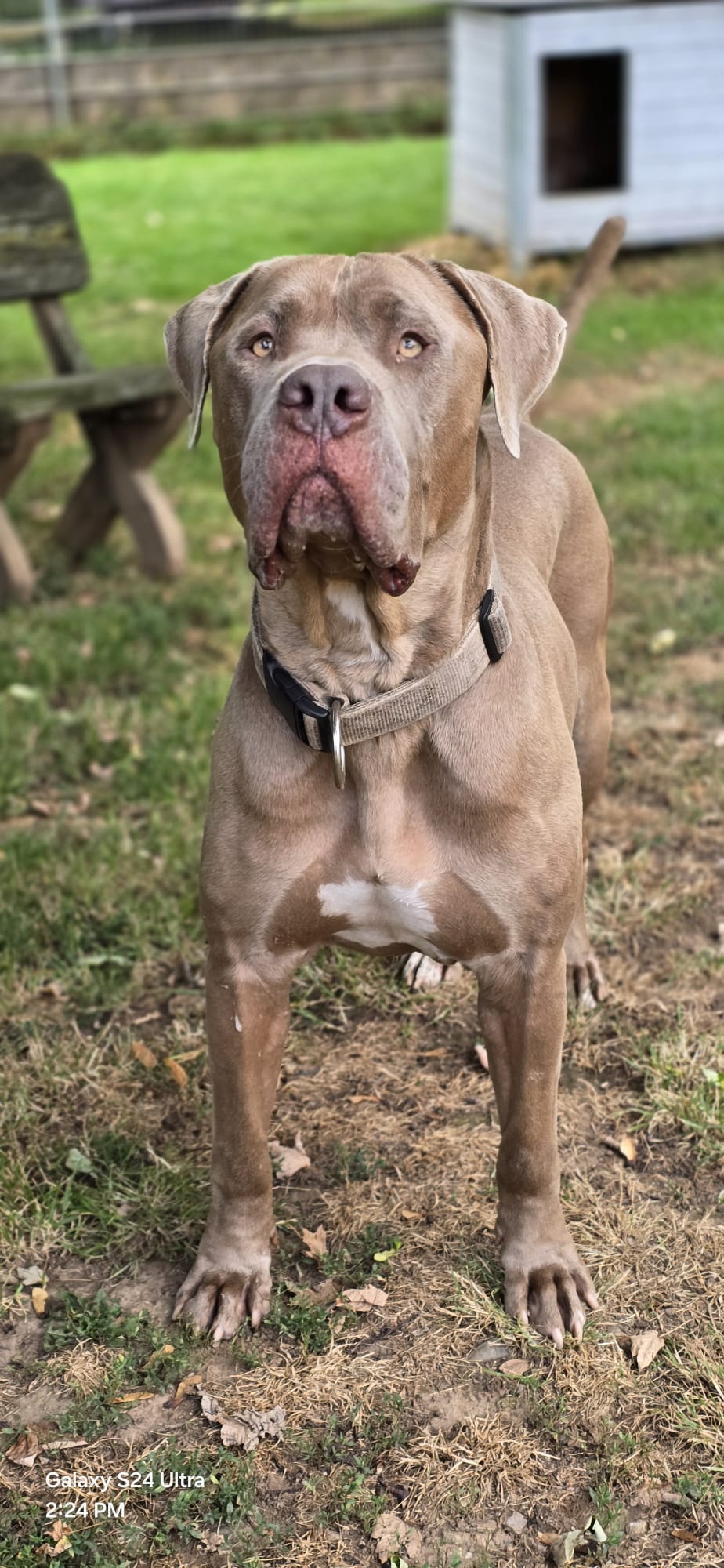 Stormy2von2.jpg